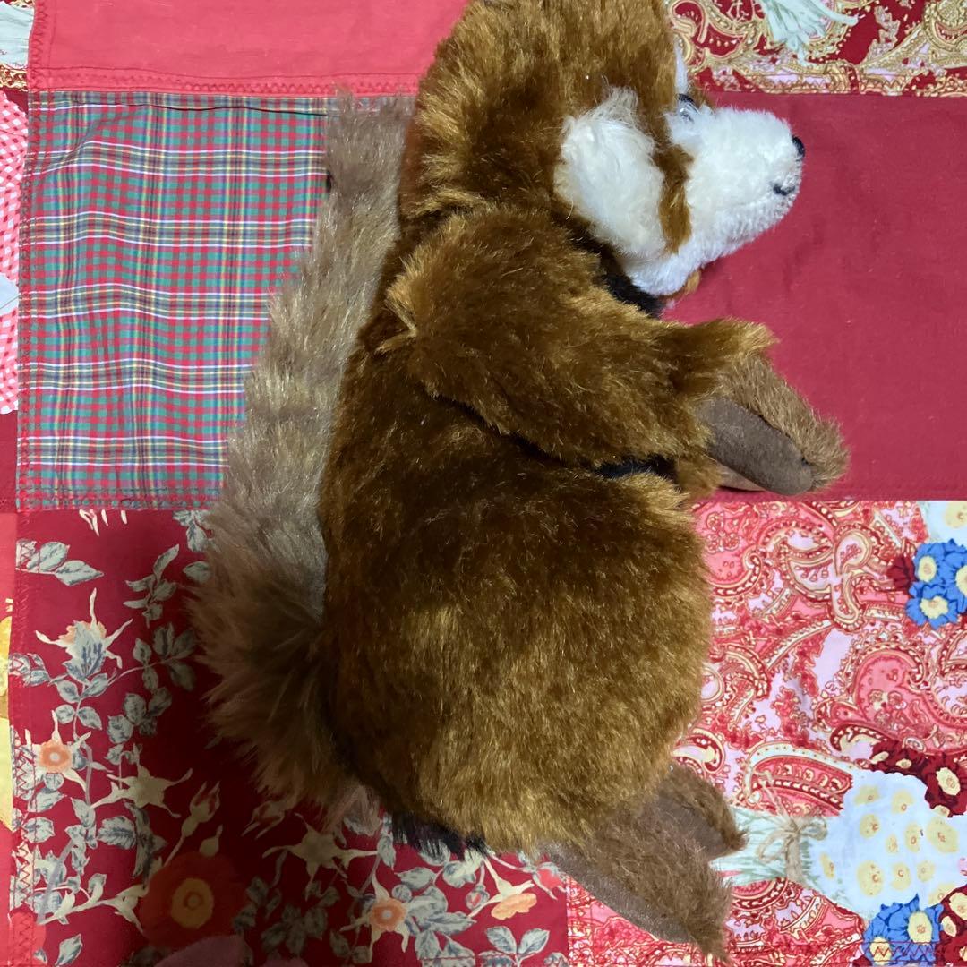 シュタイフ ぬいぐるみ テディベア Bendy ベンディ レッサーパンダ