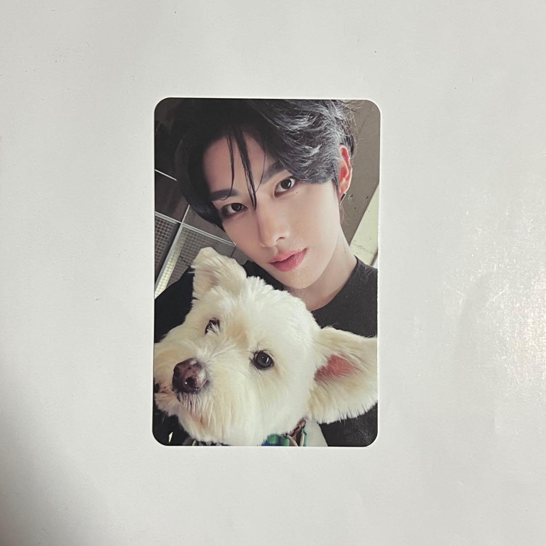 zb1 リッキー NEVERSAYNEVER デジパ 封入トレカ 犬 レオ - メルカリ