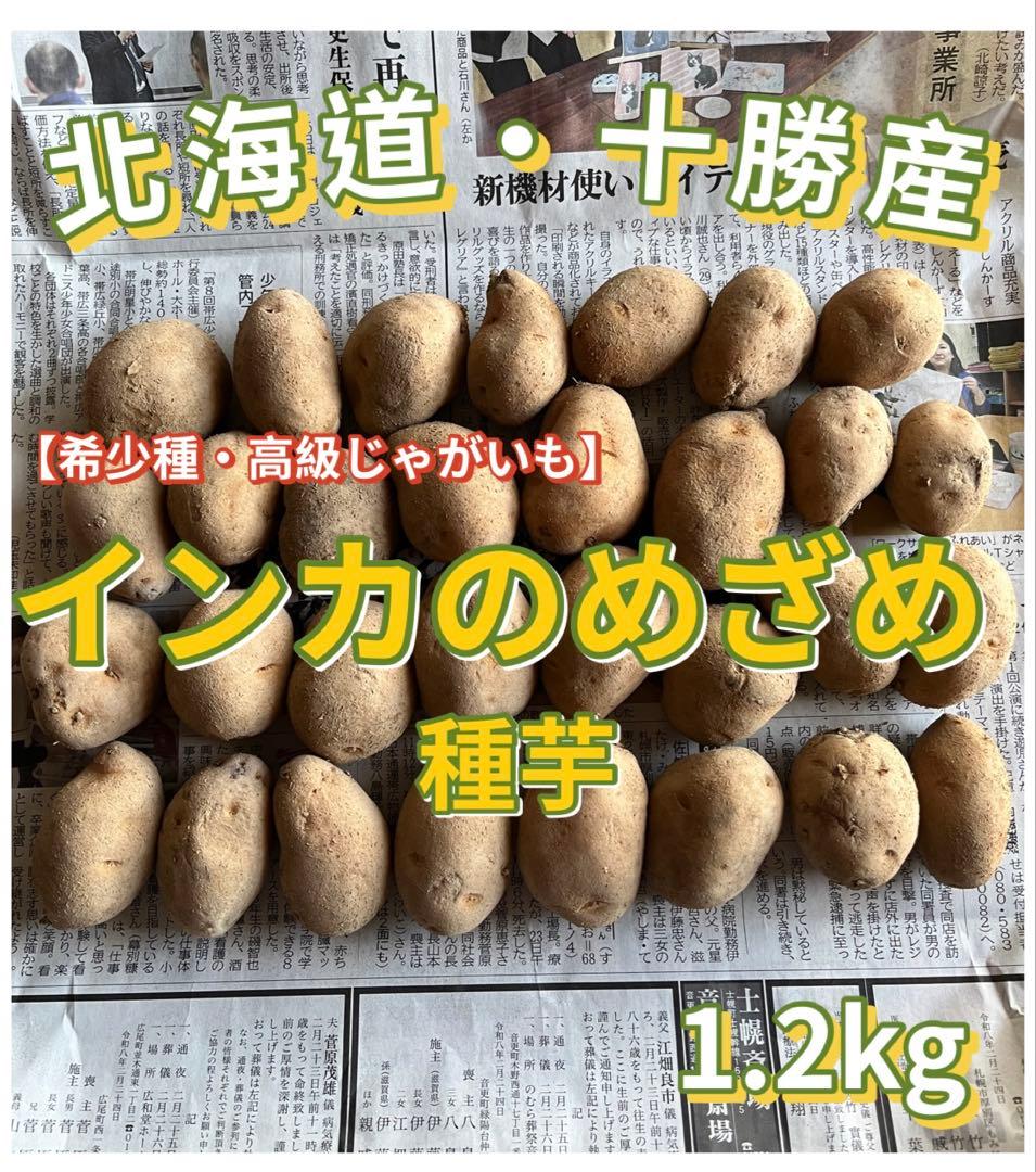北海道・十勝産 インカのめざめ 種芋 1kg 1236 - メルカリ