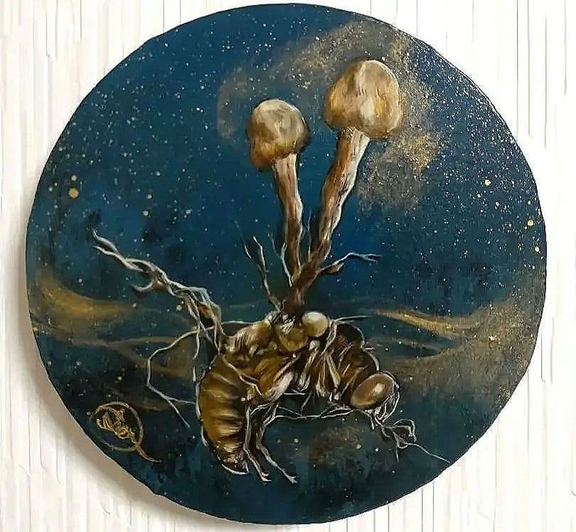 冬虫夏草の油絵【オオセミタケ】1点物の絵画◆作者サイン入り/円型キャンバス 宮崎駿のサイン色紙が3250万円で落札！ それでも安い！？ 「まんだらけ