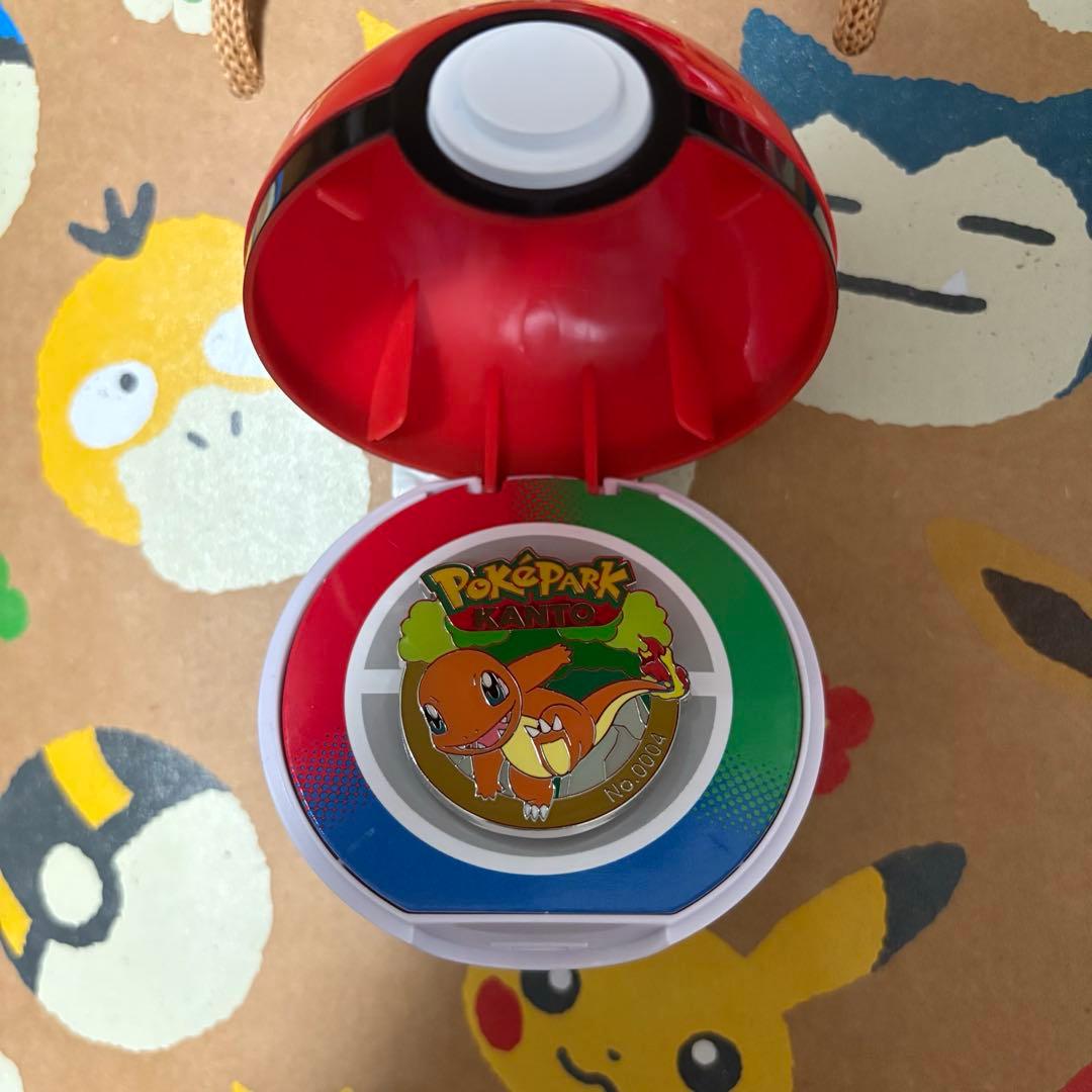 新品未使用 ポケパーク カントー ヒトカゲ ピンバッジ - メルカリ