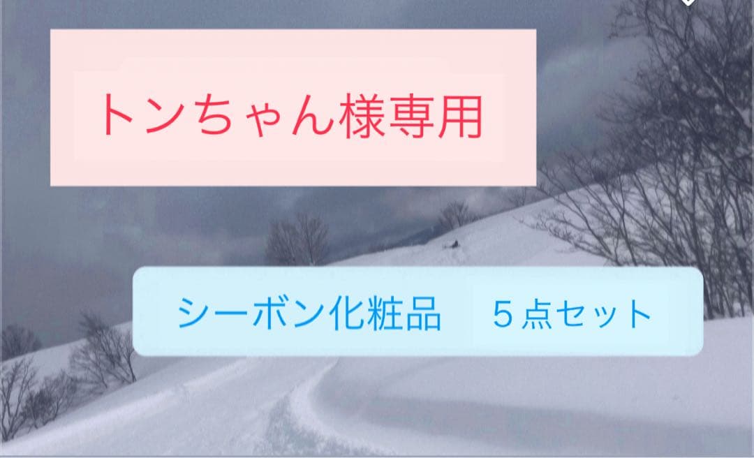 トンちゃん　シーボン化粧品　５点セット