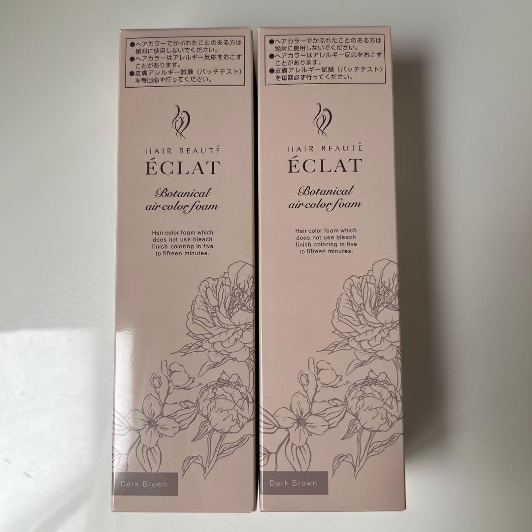 ヘアボーテ エクラ ボタニカル エアカラーフォームup ダークブラウン２本