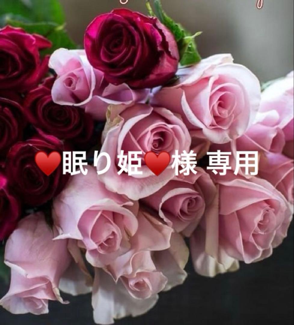 サルート E70/M 62G KO アールデコ