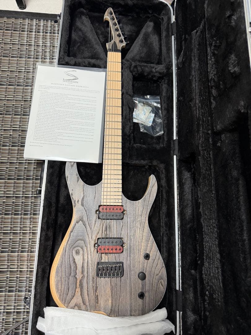ギター Skervesen Velociraptor 6 2023
