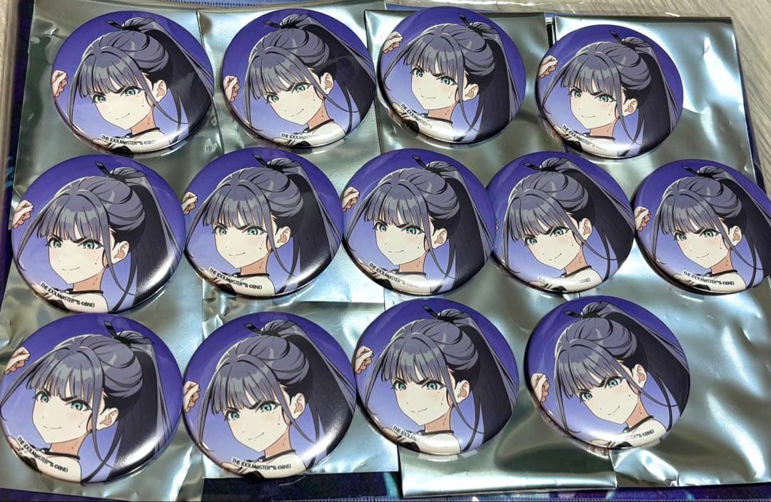 学園アイドルマスター 公式トレーディング缶バッジ 雨夜燕　13個セット 学園アイドルマスター グリッター缶バッジ／雨夜 燕: キャラグッズ