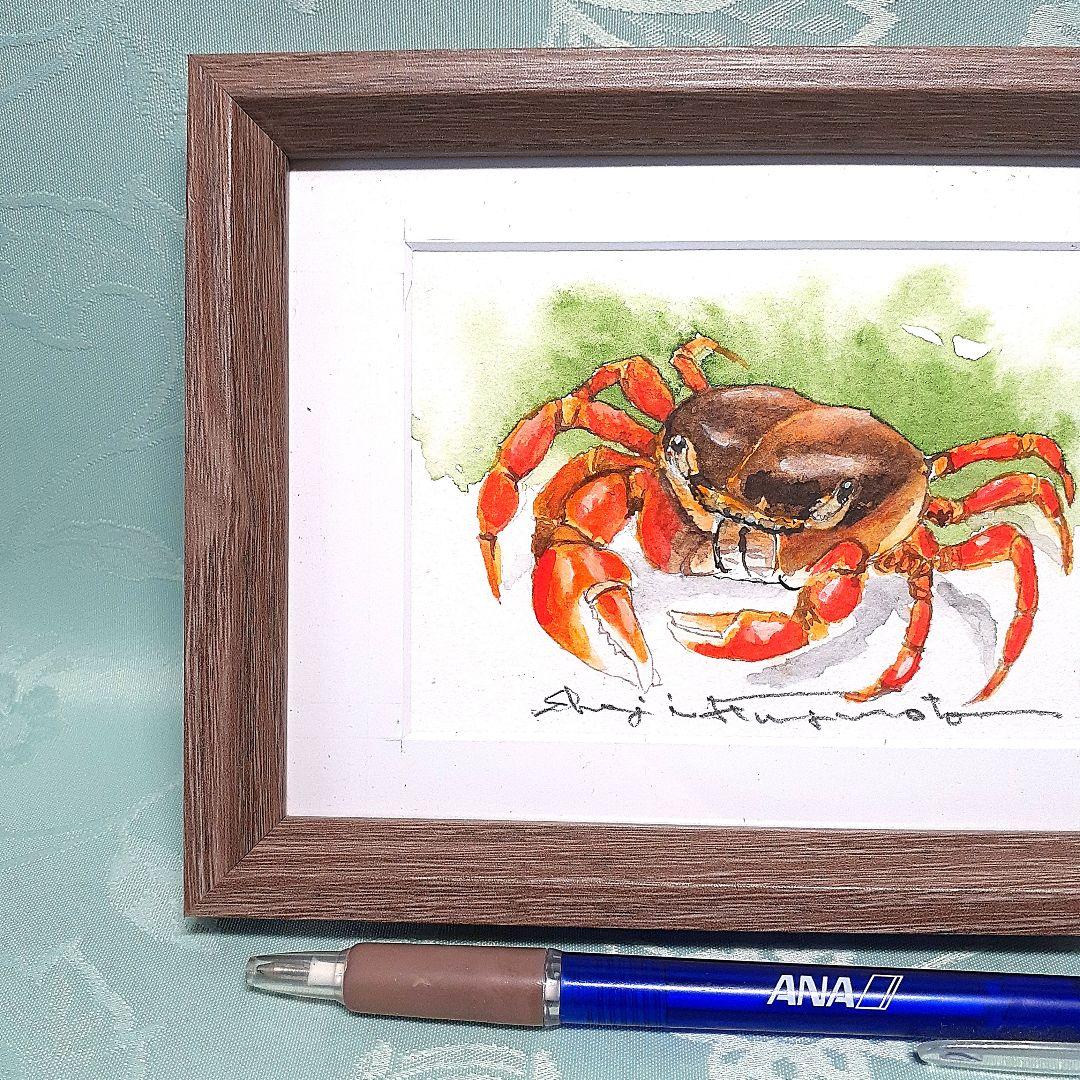 サワガニの透明水彩画 - メルカリ