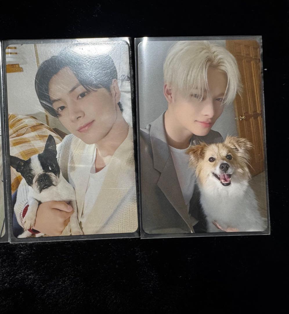 ENHYPEN アンケートトレカ ジェイ ニキ 2025