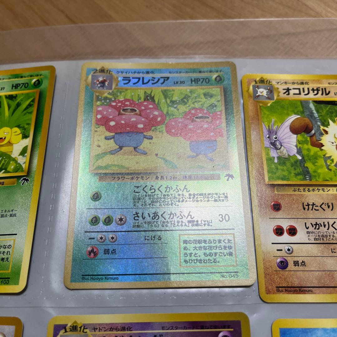ポケモンカード 旧裏 トロピカルアイランドファイルセット ラフレシア