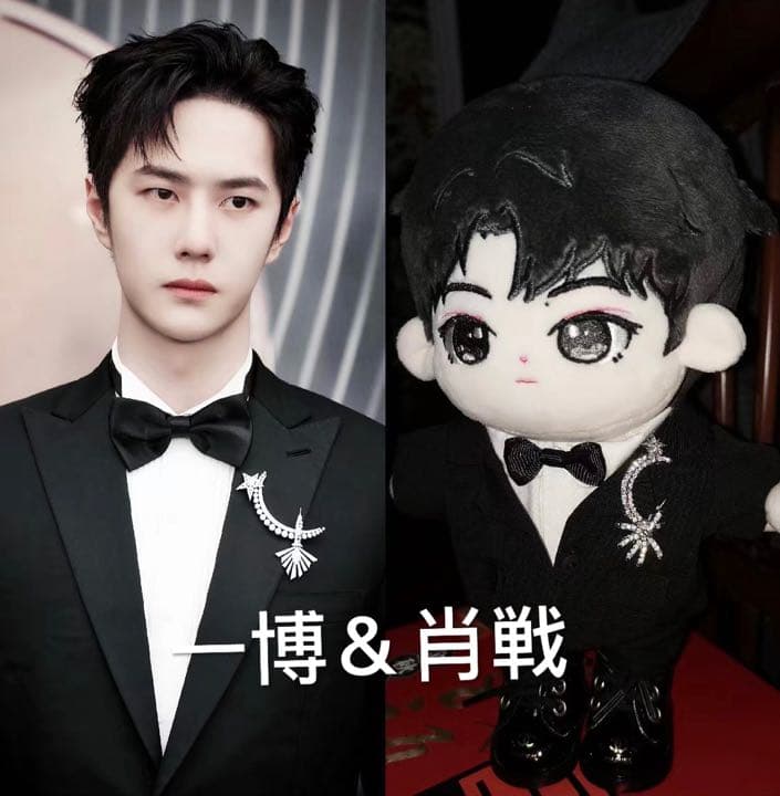 ご確認用(王一博 ぬいぐるみ 20cm お洋服 着せ替え ハンドメイド)