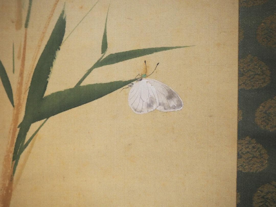 加藤英舟自筆『五月晴』掛軸（共箱） - メルカリ