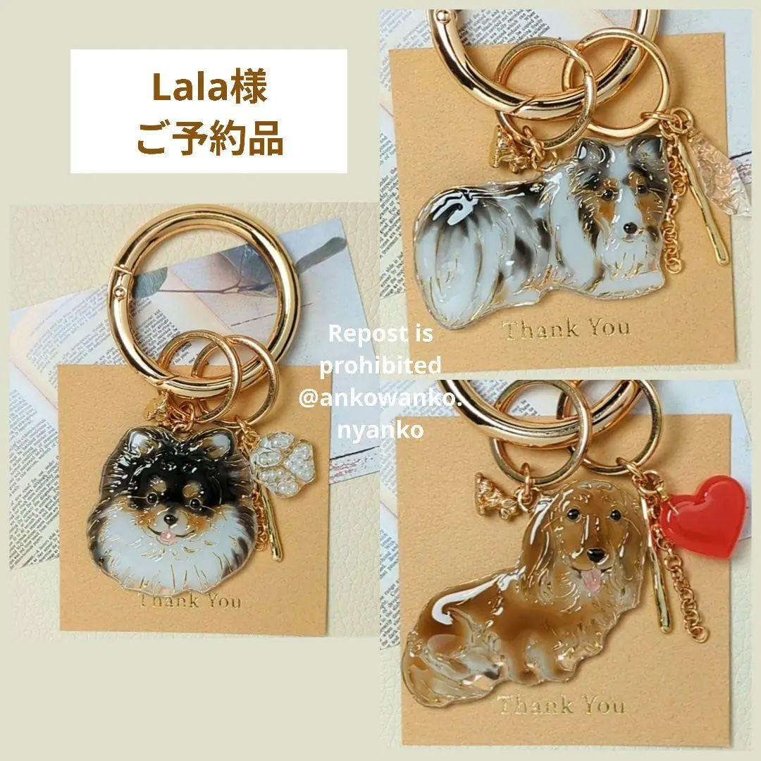 愛犬 ankoわんこシリーズ　ポメラニアン　シェルティ　ダックス　犬　dog