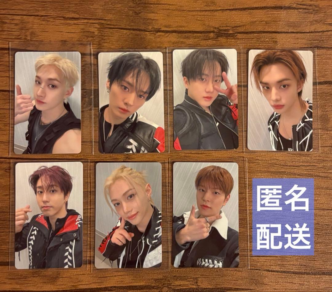 straykids hollow オフイベ 幕張 会場限定 トレカ 7枚セット