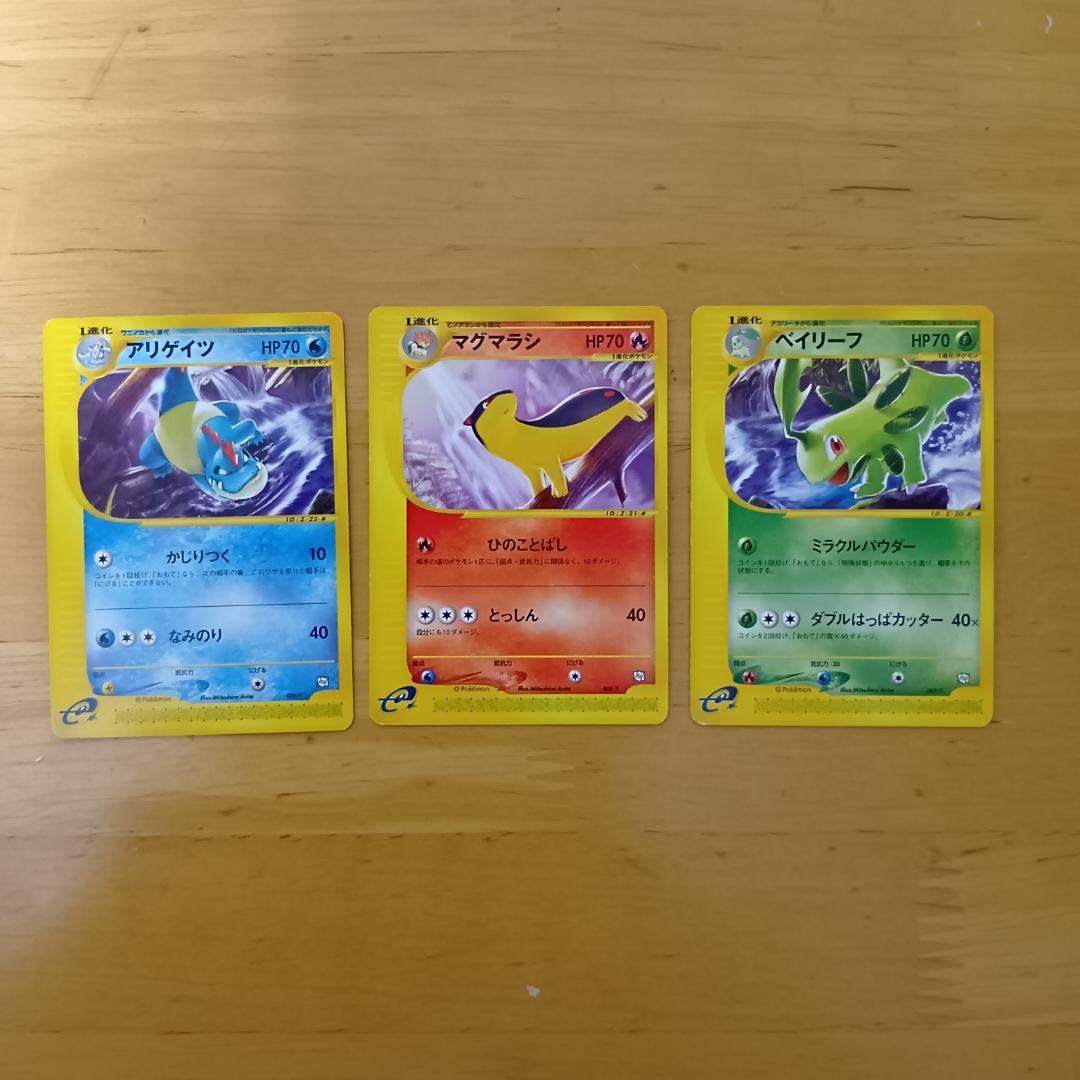 トレーナーズマガジン　ベイリーフ　マグマラシ　アリゲイツ