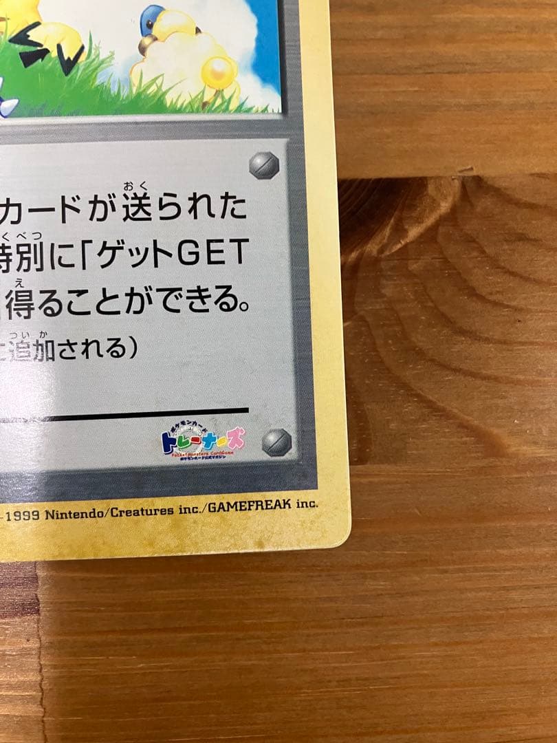 ポケモンカード】ニューセンチュリープレゼント トロピカルプレゼント