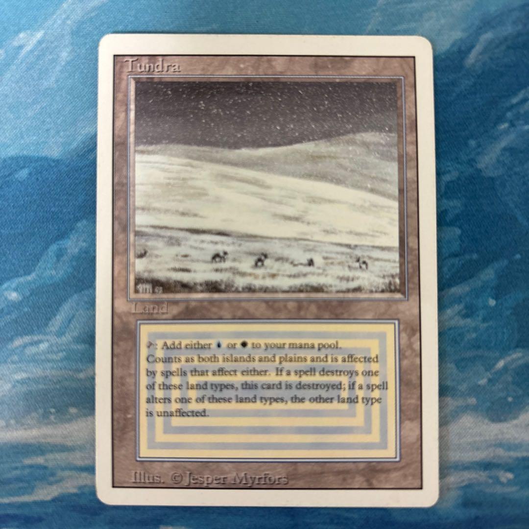 MTG Tundra① イタリア語)Tundra / Tundra【3ED】 白枠 No.289｜MtG通販サイト
