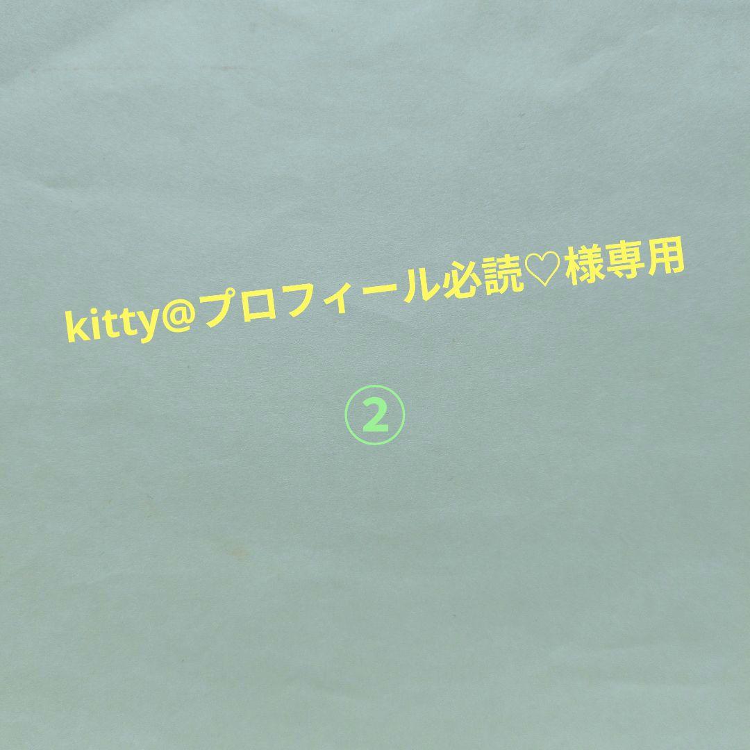 kitty@プロフィール必読♡様専用 コミック ② - メルカリ