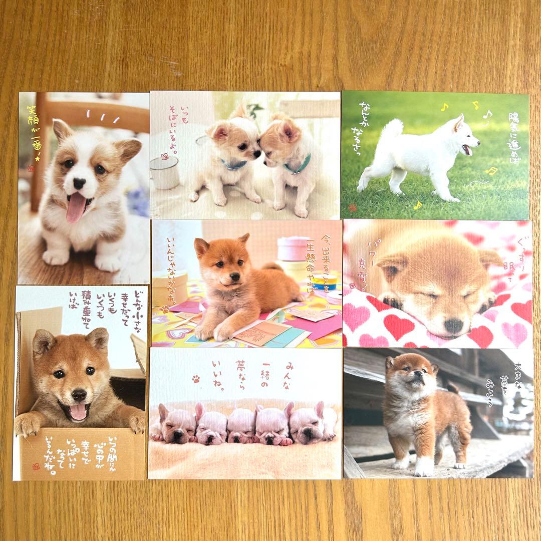 J&Y SYSTEM公式アカウント02様専用】猫と犬のポストカード50枚セット