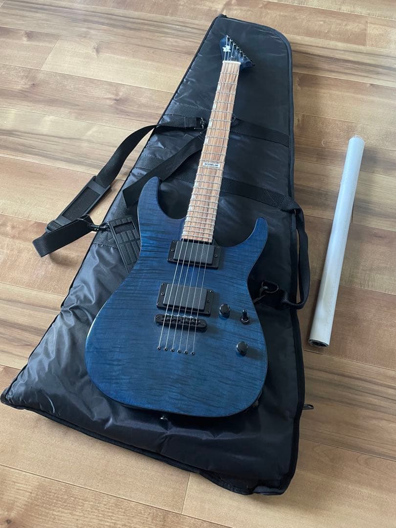 Bang Dream! M-Ⅱ SAYO ポスター付 Roselia 氷川紗夜 ESP M-II ROSELIA SAYO ESP×バンドリ！ ロゼリア 氷川紗夜モデル