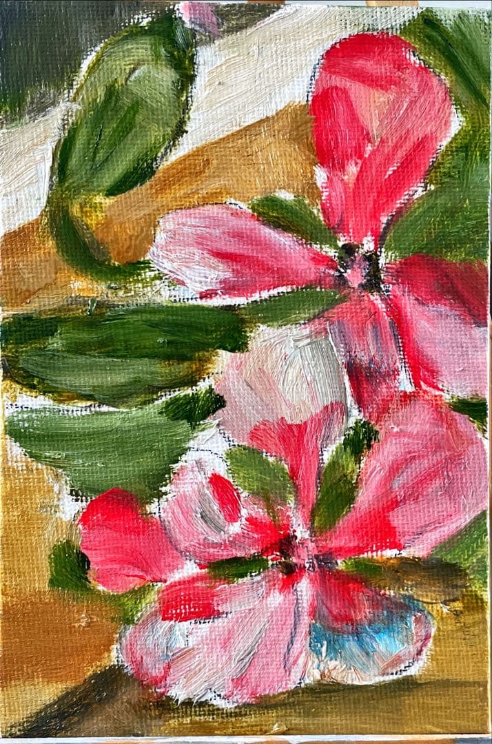 【絵画】花 ニチニチソウ