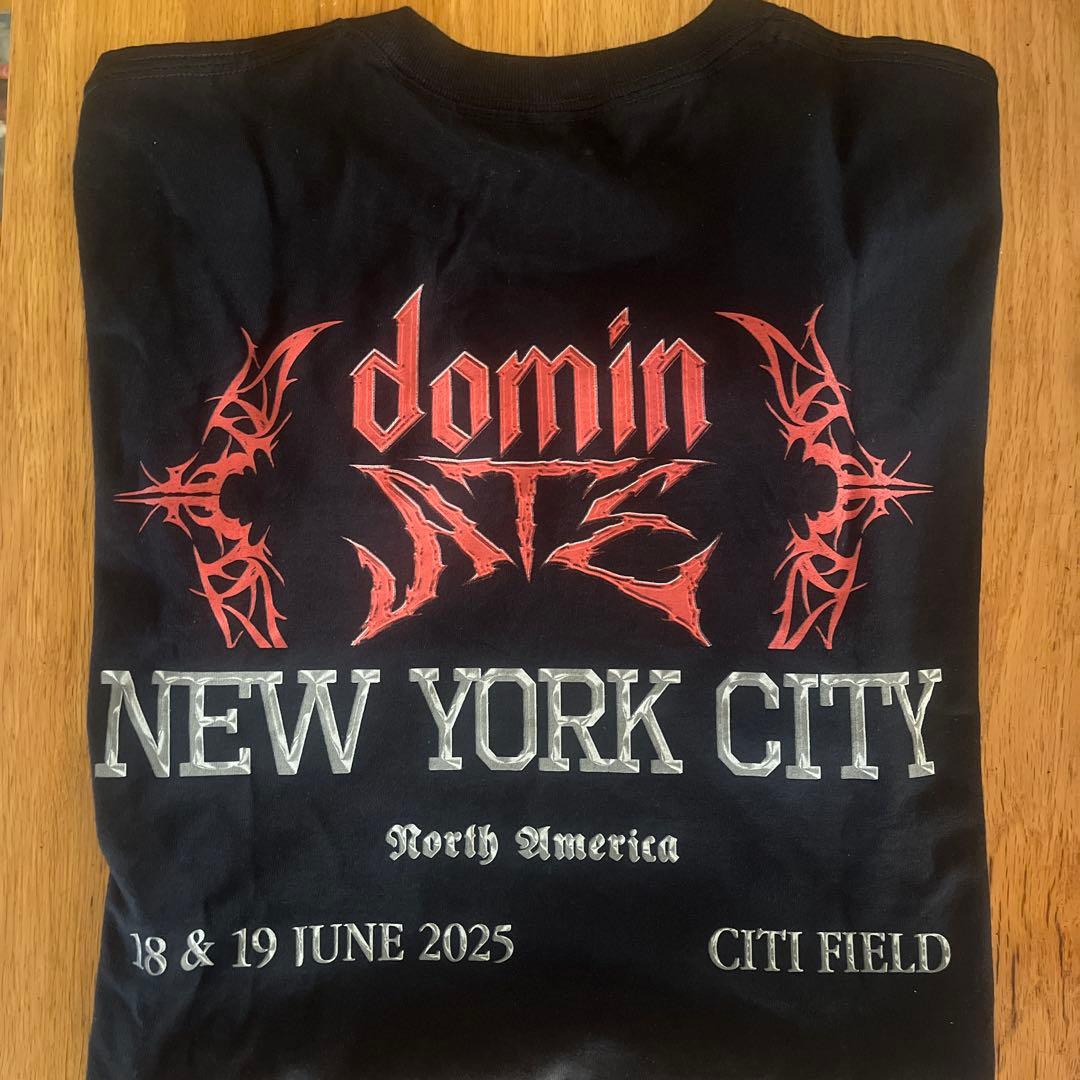 straykids スキズ ワールドツアー 北米グッズ Tシャツ Lサイズ Stray Kids - straykids スキズ ツアーグッズ Tシャツ アメリカ 限定