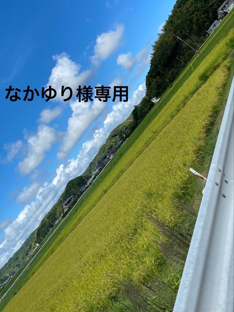 ALBION エバーラスターファンデーションNA201新品