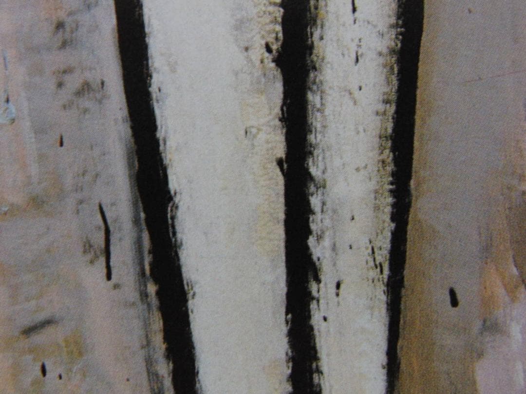 ベルナール・ビュッフェ「Annabel en maillot de bain」 - メルカリ