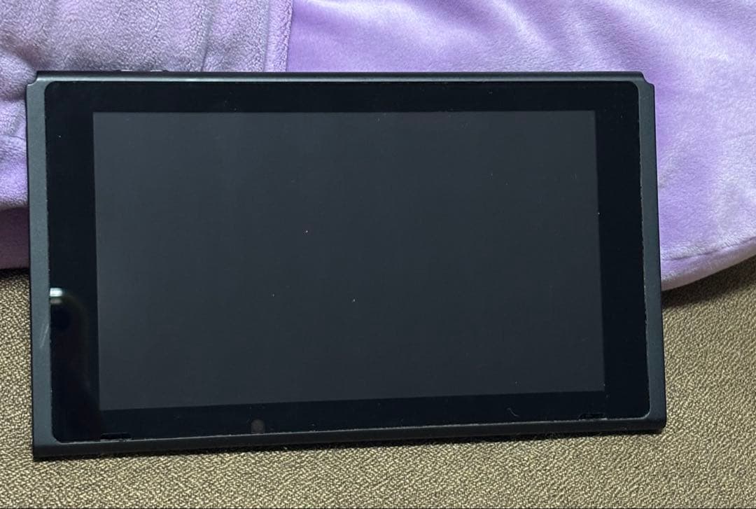 ニンテンドースイッチ Nintendo Switch 本体のみ ジャンク品