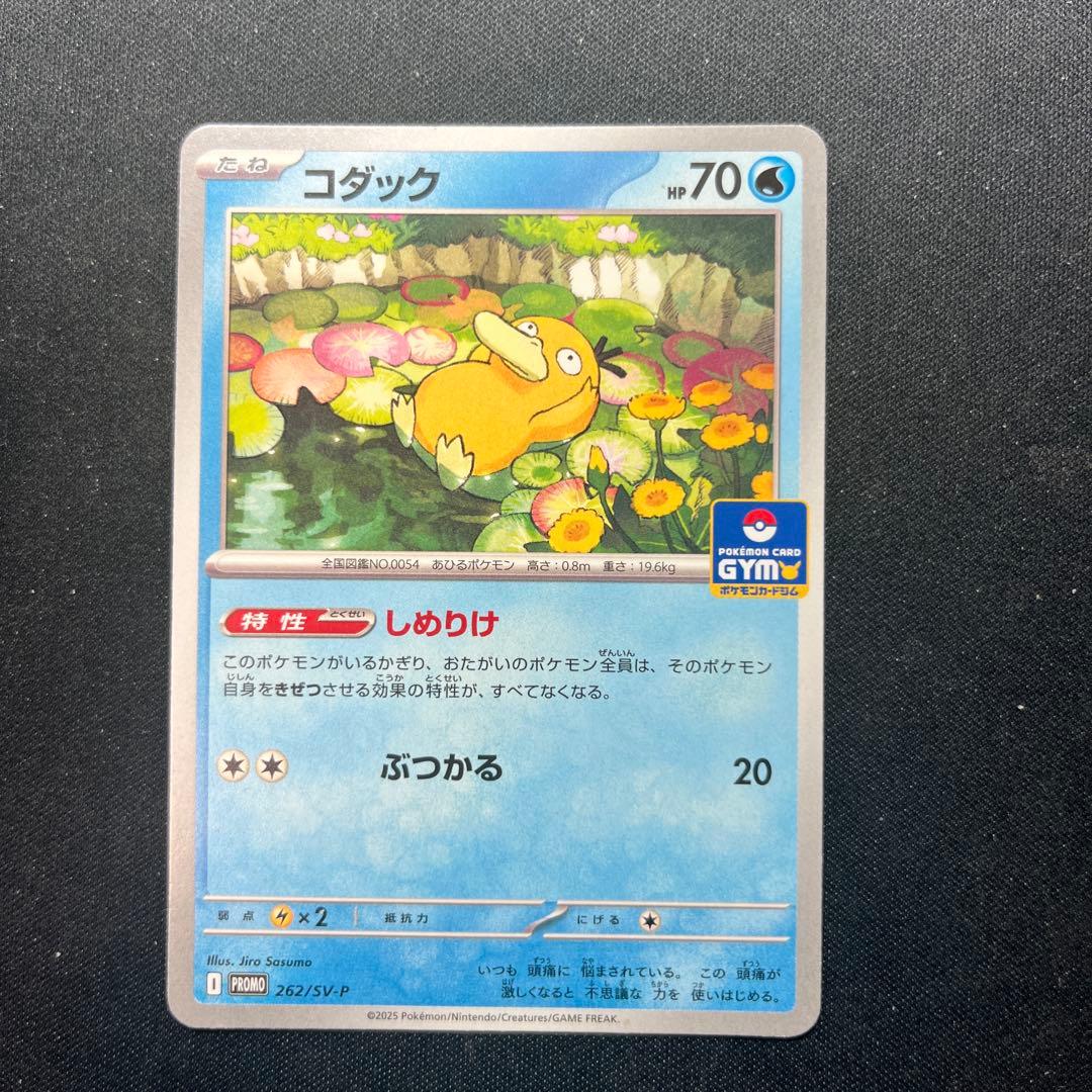 コダック しめりけ ジムプロモ - メルカリ