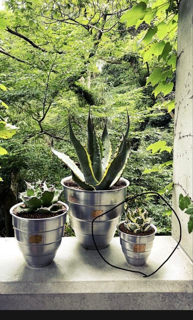 masses×M&m TYPE1 【Chrysails 】Aluminum M&M x MASSES – DAYZ ARCHIVES