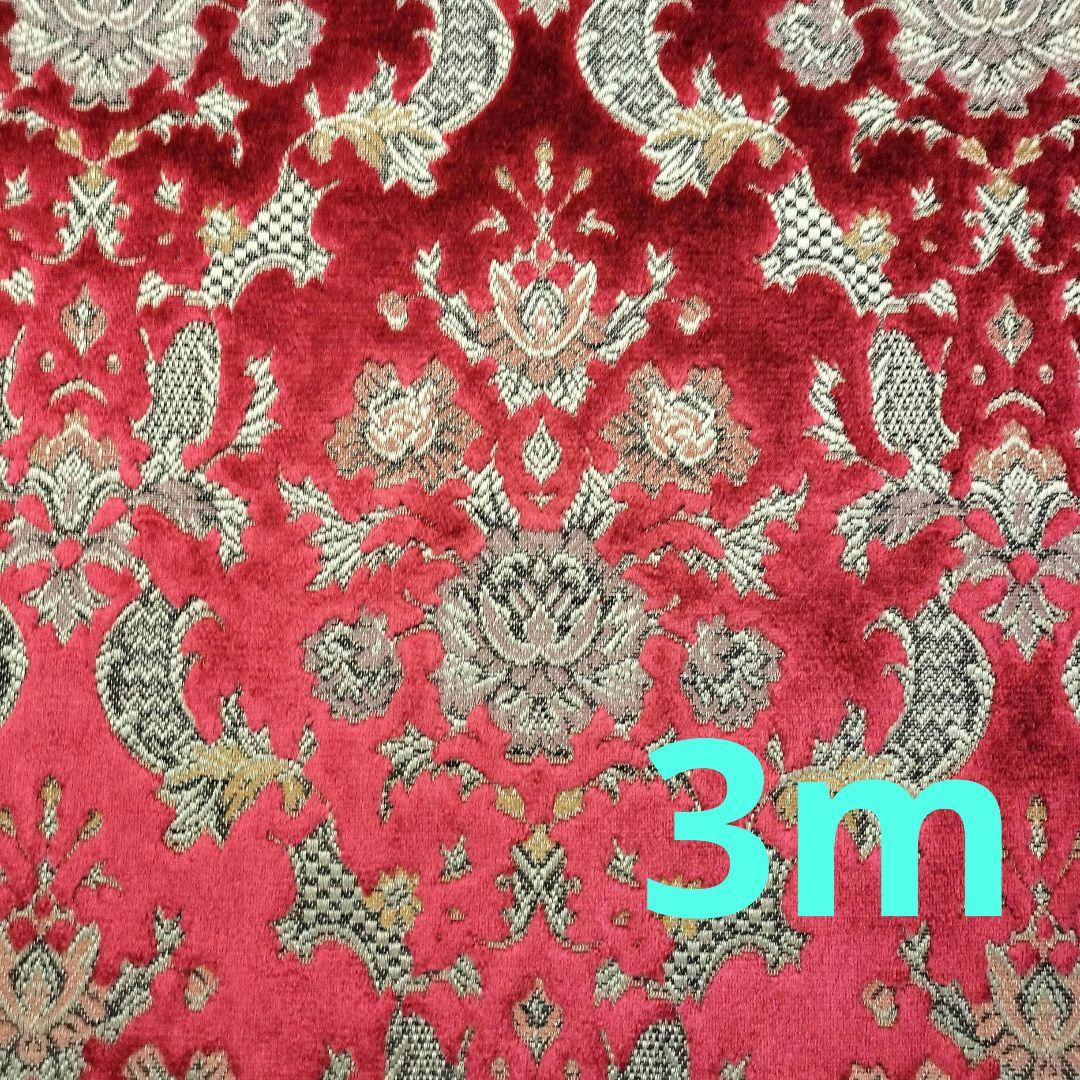 金華山バレンタインレッド3.0m