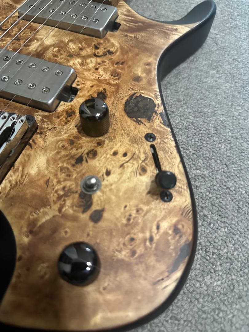 ibanez QX527PB-ABS 社外ケース付き - メルカリ