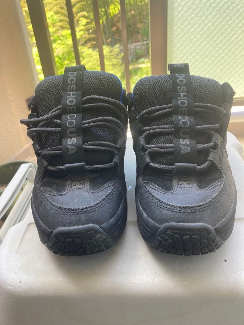 スケートボード Dc shoes lynx og