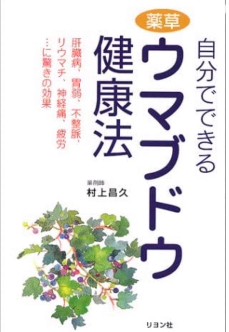 大容量】馬ぶどう250g×12袋 1年分3kg うまぶどう 薬膳 民間療法 - メルカリ