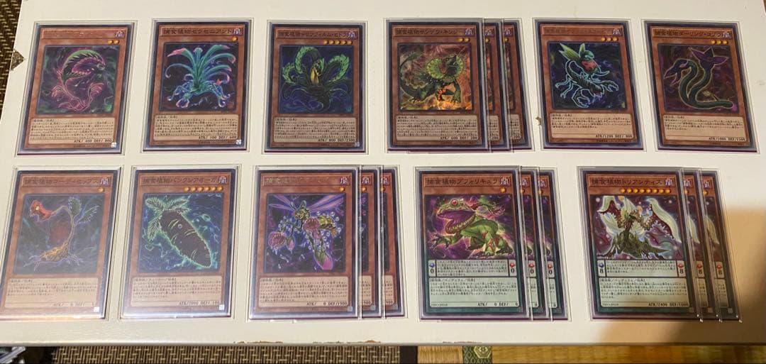 遊戯王 捕食植物 デッキ ユーリ スリーブ - メルカリ