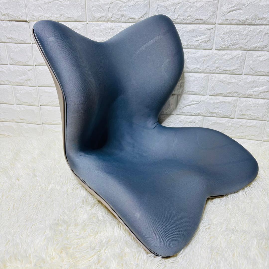 Style PREMIUM スタイル プレミアム【グレー】