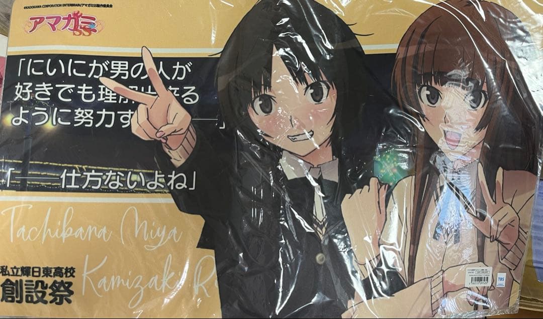 アマガミ プレイマット デスクマット 橘美也 上崎裡沙 創設祭 - メルカリ