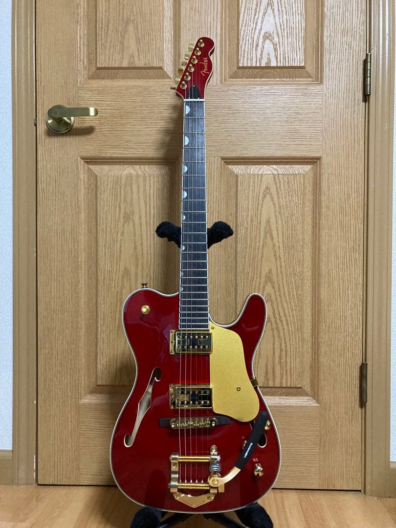 【国内希少】テレキャスター×グレッチ =telegretscher！セミアコ！