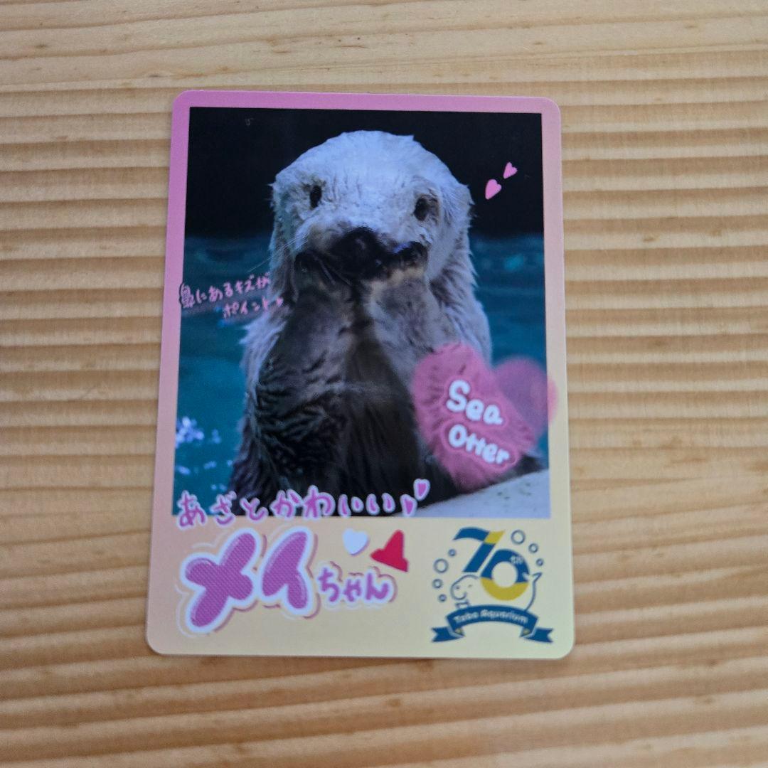 鳥羽水族館 とばすい コレカ コレクションカード ラッコ メイ - メルカリ
