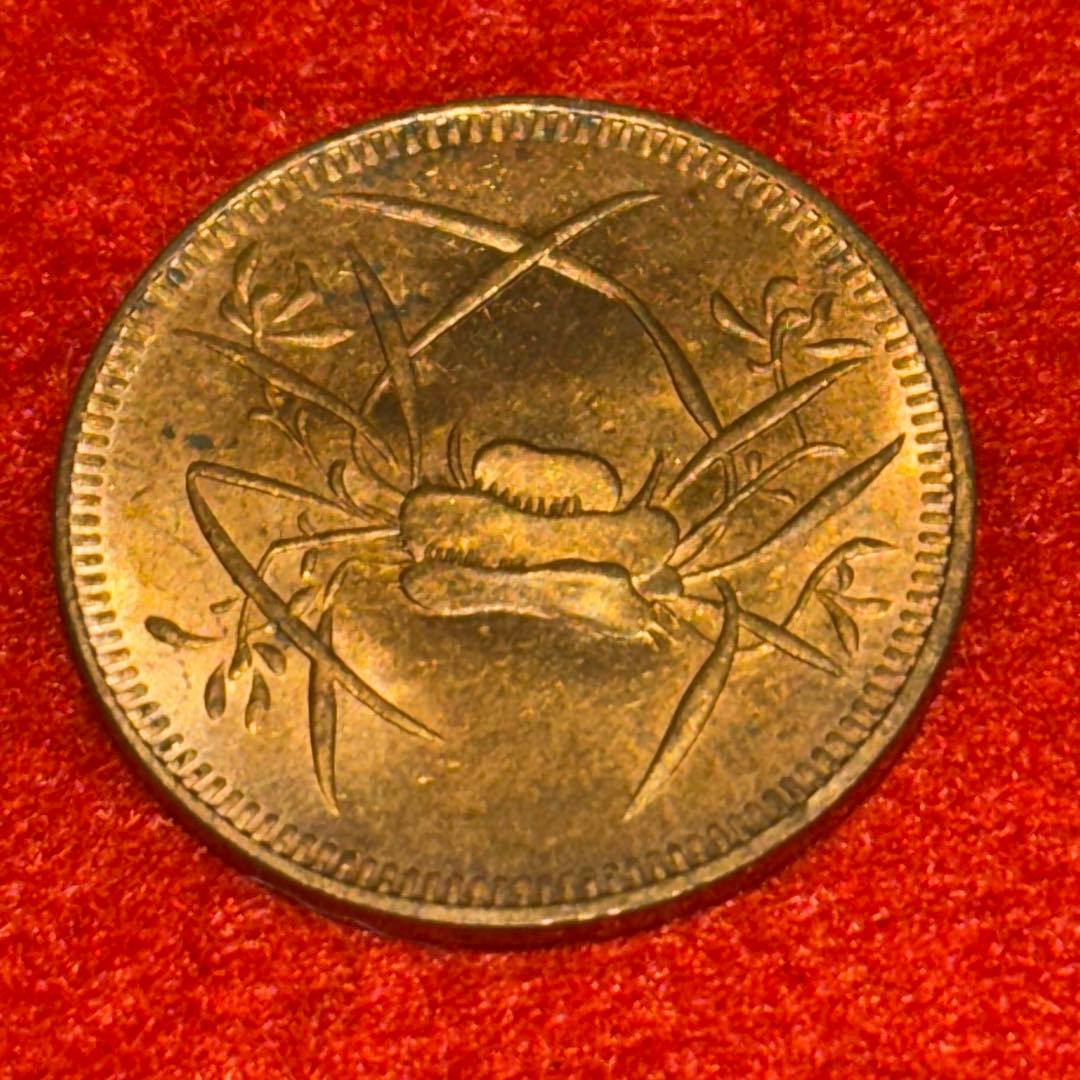 中国 古銭 中華民国四川省 馬蘭幣 記念 海外 コイン 近代 中華民國