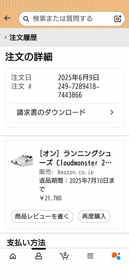 On Cloudmonster2　クラウドモンスター2（ 27.0cm）