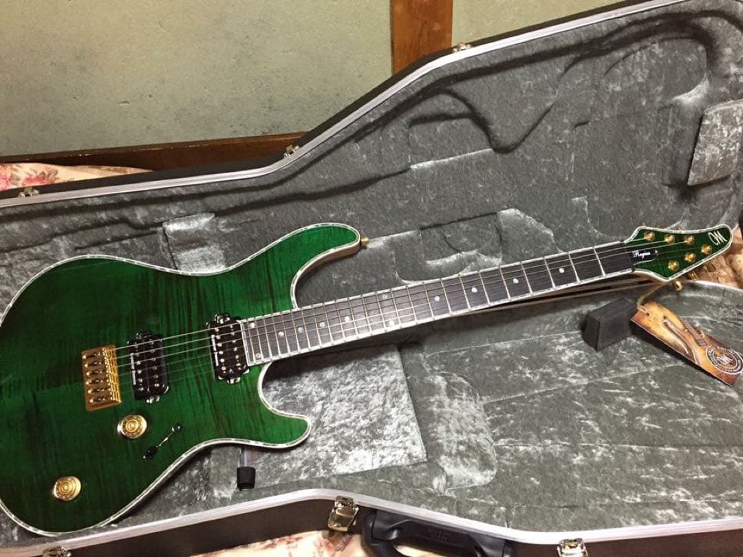 ギター MAYONES Regius6 REG6-TEGRNG