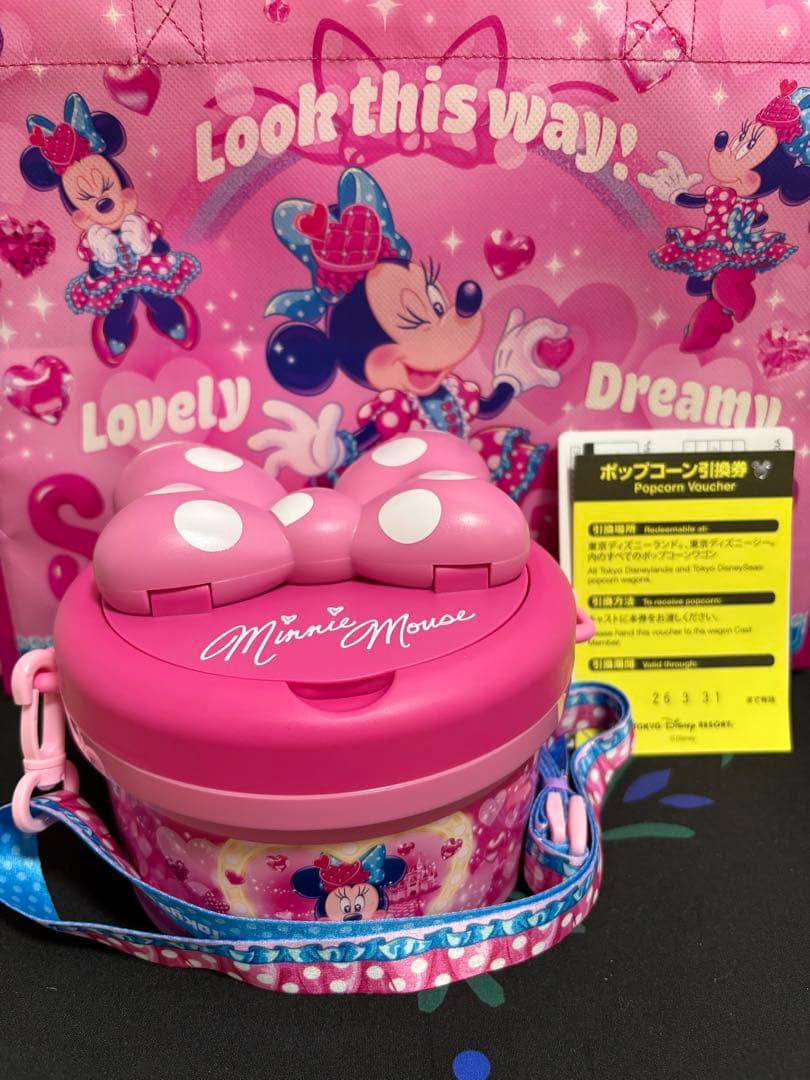 ミニーのファンダーランドポップコーンバケット パルパルーザポップコーン引換券付き
