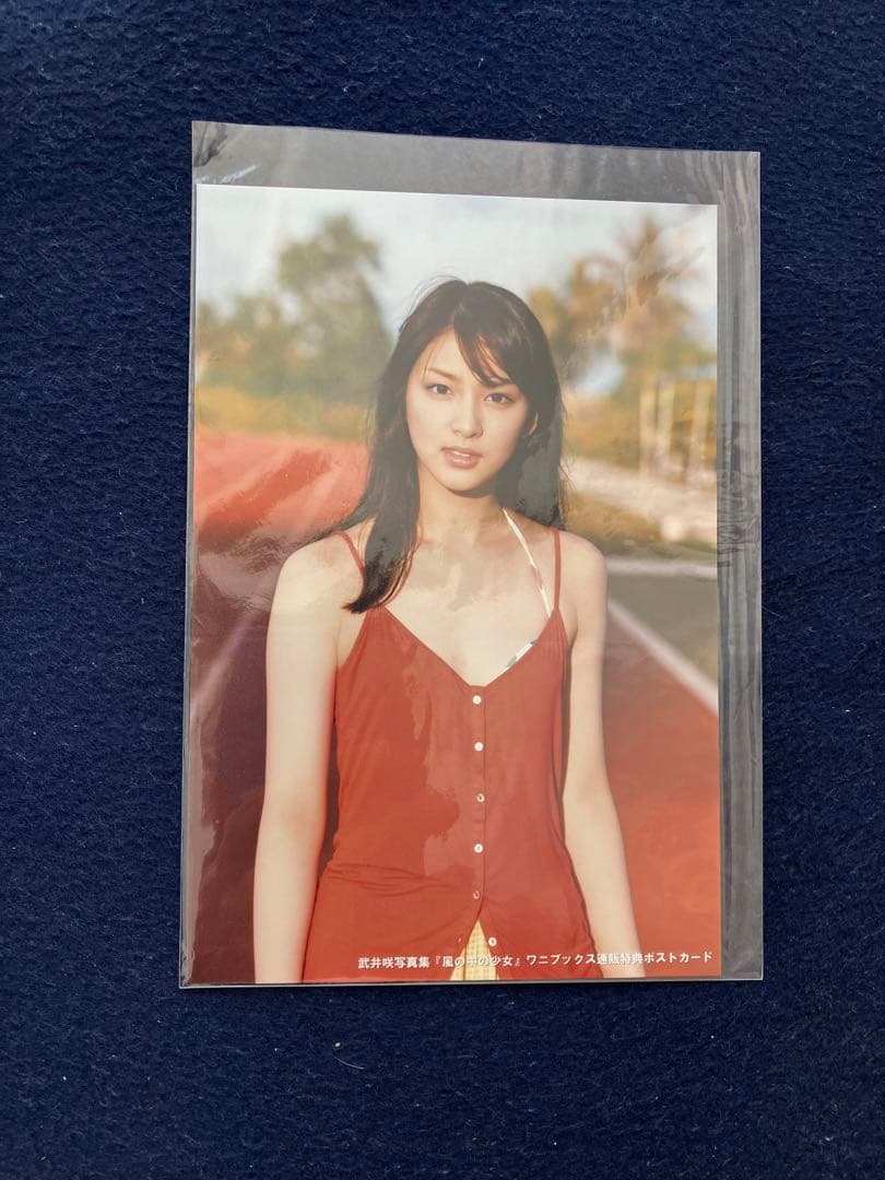 風の中の少女 : 武井咲写真集 直筆サイン入り 写真1枚付き - メルカリ