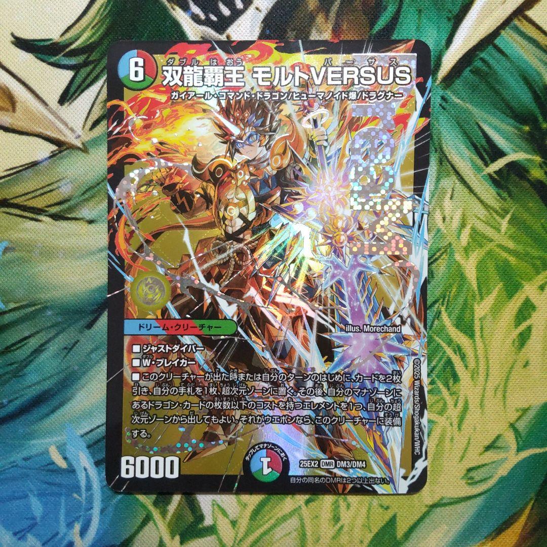 双龍覇王 モルトVERSUS - メルカリ