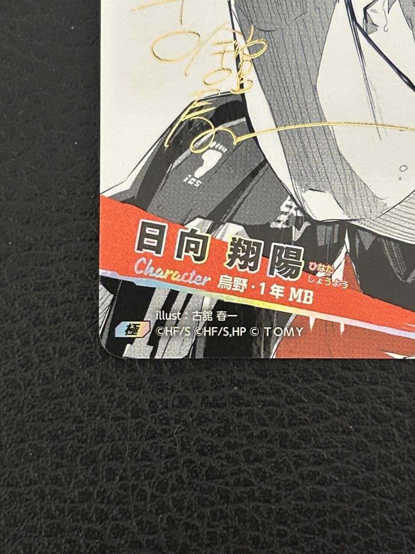 し*ん様 ［最終値下げオークション］バボカ日向翔陽 ハイキュー極