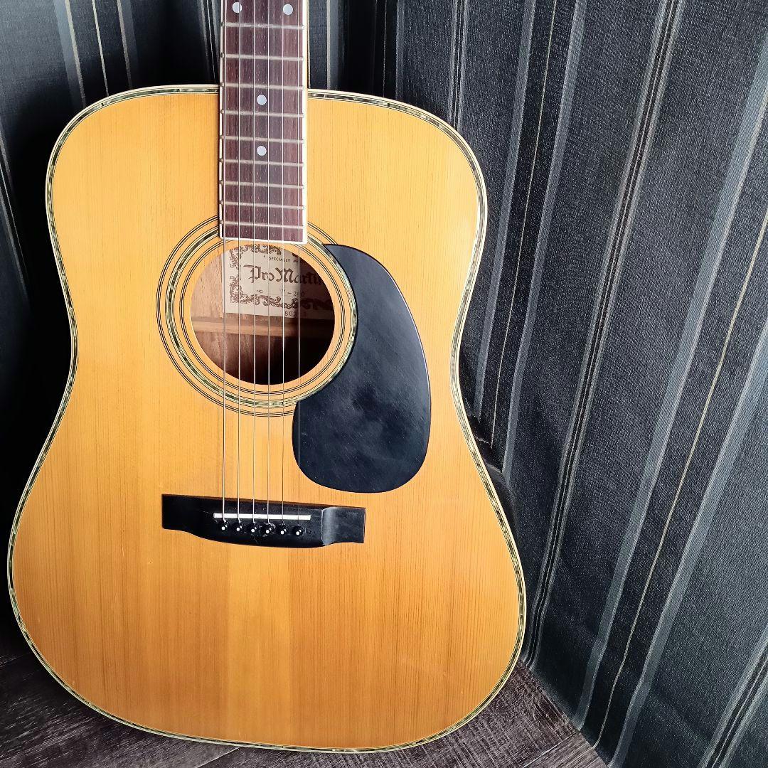 マーティン 縦ロゴ W-200 Martin Pro Martin ギター - メルカリ