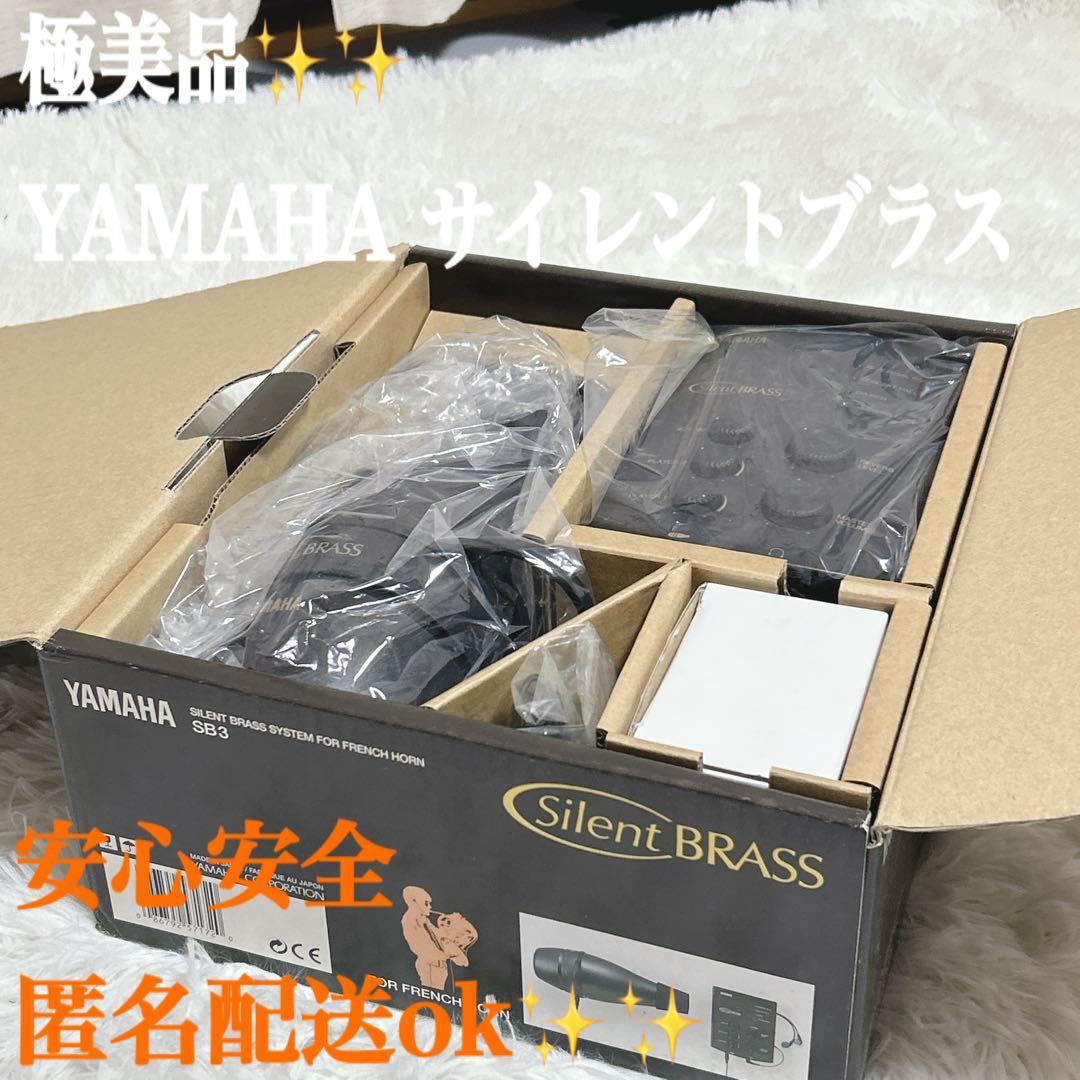 YAMAHA Silent Brass SB3 ホルン　ヤマハ Amazon.com: Yamaha SILENT Brass System For French Horn- Pickup