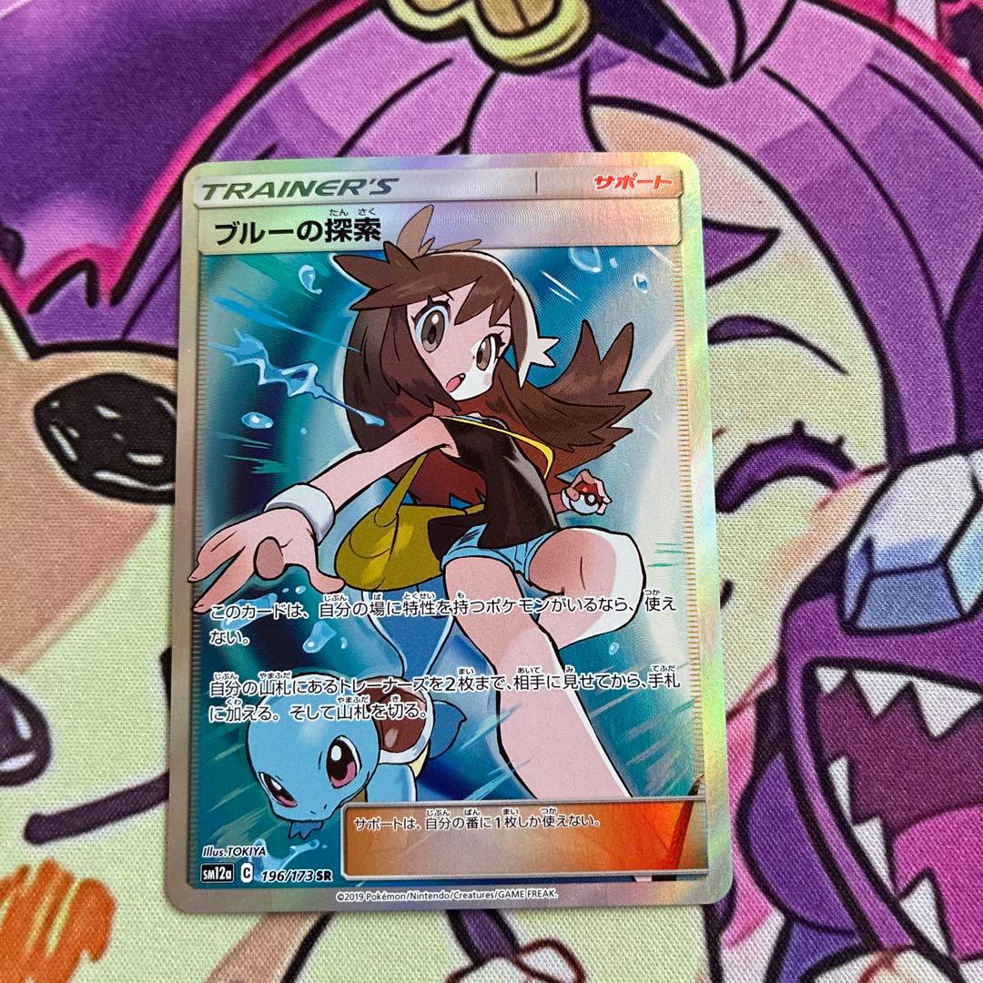 ブルーの探索 SR 亀あり