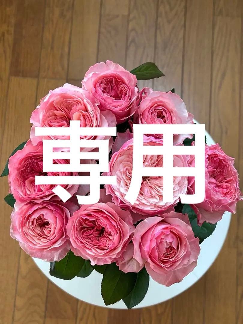 モン&ミーママ様専用」 切り花品種バラ苗 レアバラ Harpe♡ Rose